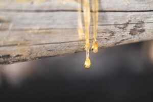 Copaiba illóolaj