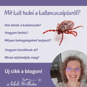 Kullancscsípés